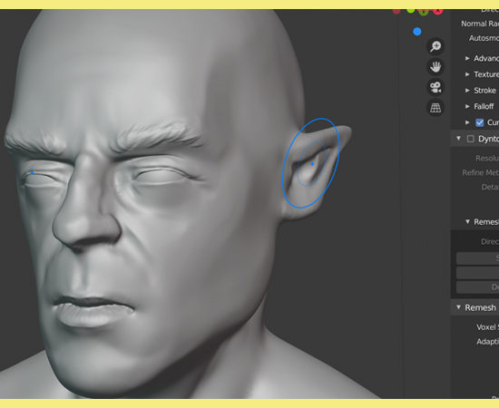 introduction-3D-bandeau