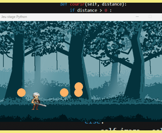 Stage de vacances Python jeu